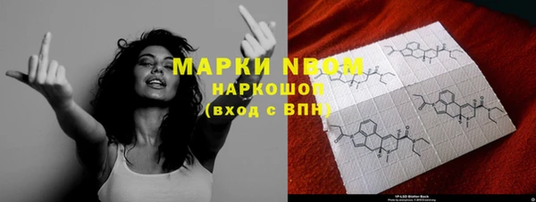 трава Белокуриха