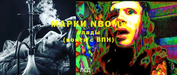 трава Белокуриха