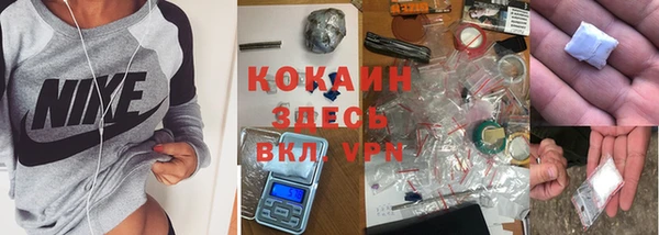 трава Белокуриха