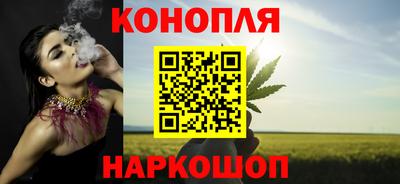 гидра Михайловск