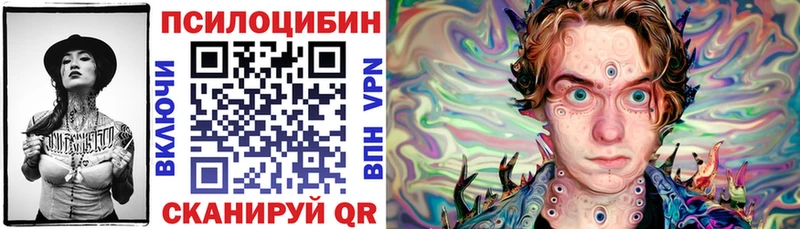 продажа наркотиков  Бузулук  Псилоцибиновые грибы мицелий 