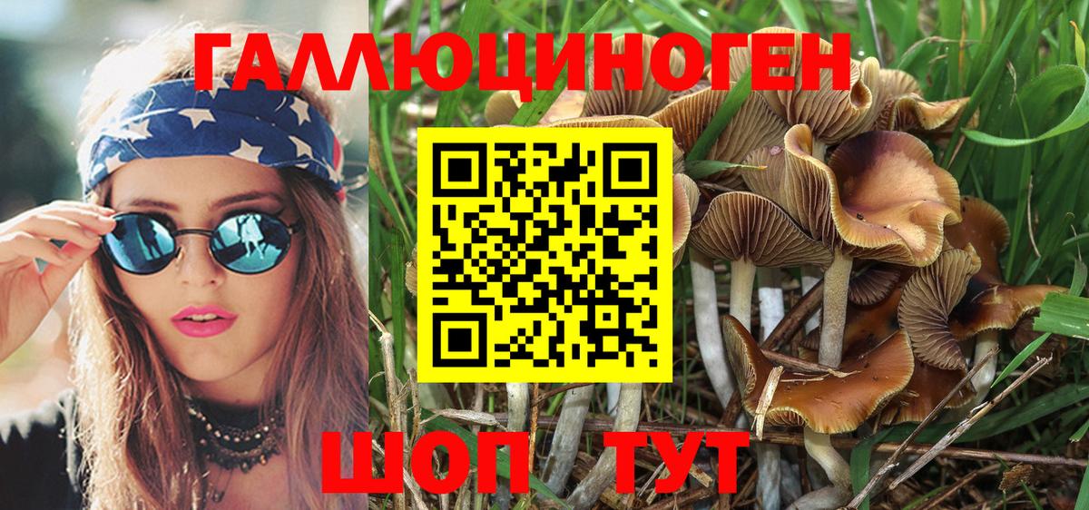 Галлюциногенные грибы Psilocybine cubensis Бузулук